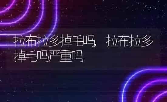 狗能吃螃蟹吗,狗能吃螃蟹肉吗为什么 | 养殖科普