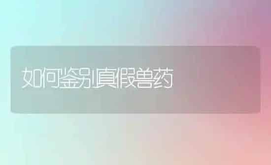 如何鉴别真假兽药 | 养殖技术大全