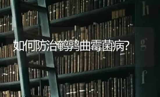 如何防治鹌鹑曲霉菌病? | 养殖技术大全
