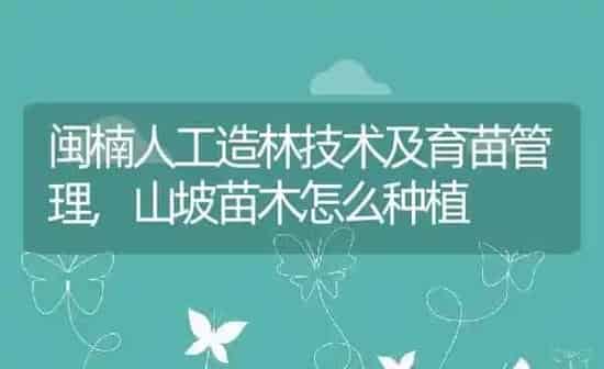 闽楠人工造林技术及育苗管理,山坡苗木怎么种植 | 养殖学堂