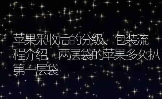 苹果采收后的分级、包装流程介绍,两层袋的苹果多久扒第一层袋 | 养殖学堂