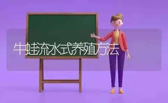牛蛙流水式养殖方法 | 养殖知识