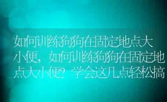 如何训练狗狗在固定地点大小便,如何训练狗狗在固定地点大小便?学会这几点轻松搞定 | 养殖科普
