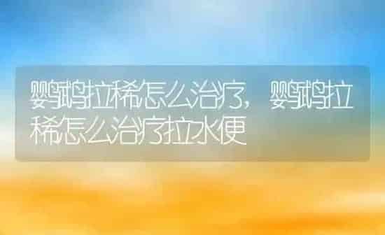 鹦鹉拉稀怎么治疗,鹦鹉拉稀怎么治疗拉水便 | 养殖科普