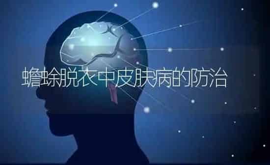 蟾蜍脱衣中皮肤病的防治 | 养殖知识