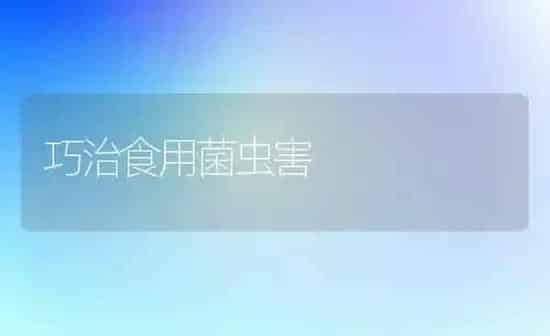 巧治食用菌虫害 | 养殖知识