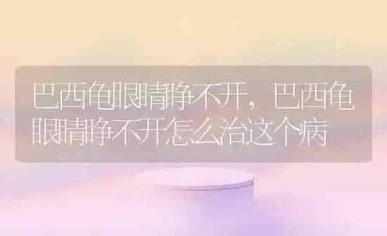 巴西龟眼睛睁不开,巴西龟眼睛睁不开怎么治这个病 | 养殖资料