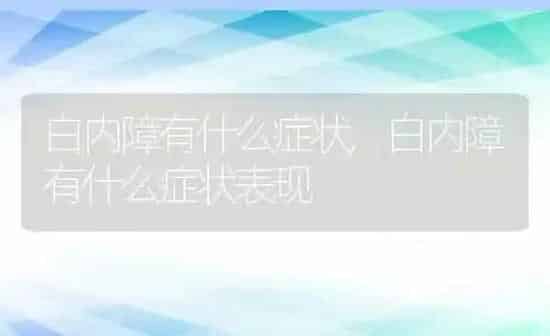 白内障有什么症状,白内障有什么症状表现 | 养殖资料