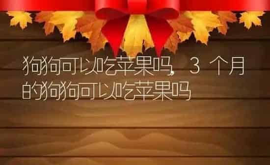 狗狗可以吃苹果吗,3个月的狗狗可以吃苹果吗 | 养殖资料