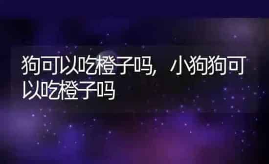 狗可以吃橙子吗,小狗狗可以吃橙子吗 | 养殖科普