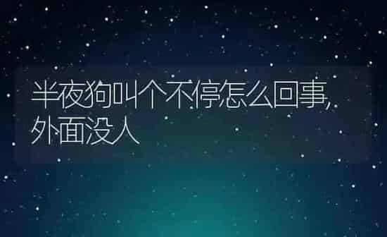 半夜狗叫个不停怎么回事,外面没人 | 养殖科普