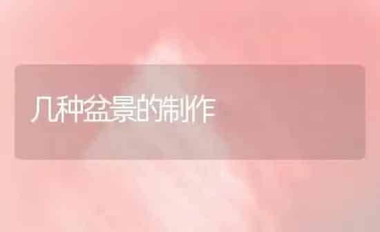 几种盆景的制作 | 养殖知识