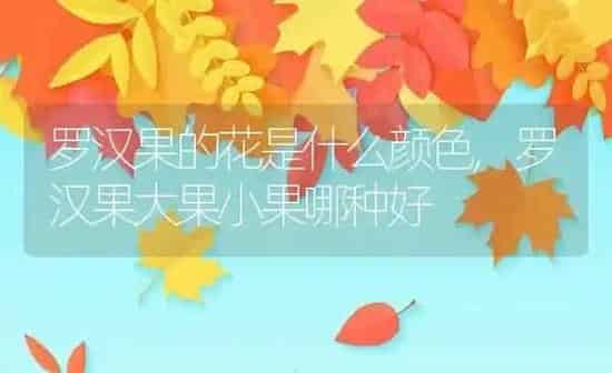 罗汉果的花是什么颜色,罗汉果大果小果哪种好 | 养殖学堂