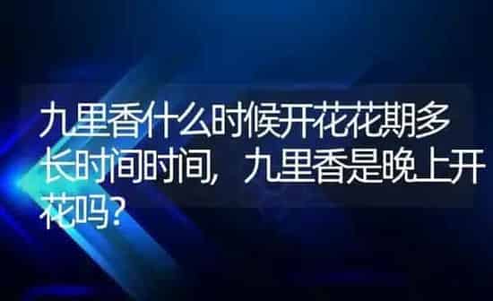 九里香什么时候开花花期多长时间时间,九里香是晚上开花吗？ | 养殖科普