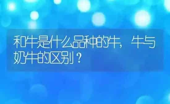 和牛是什么品种的牛,牛与奶牛的区别？ | 养殖科普