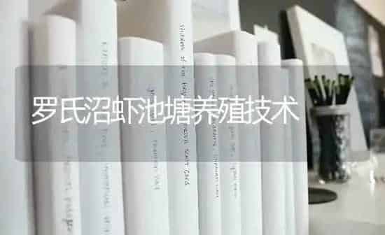 罗氏沼虾池塘养殖技术 | 养殖知识