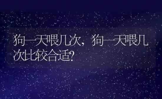 狗一天喂几次,狗一天喂几次比较合适? | 养殖科普