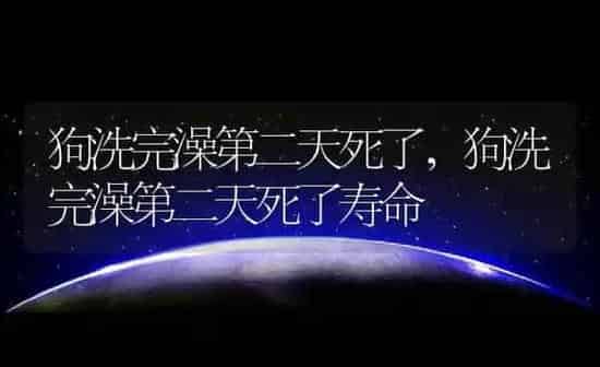 狗洗完澡第二天死了,狗洗完澡第二天死了寿命 | 养殖科普
