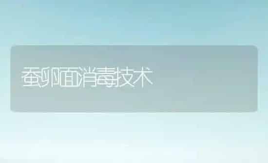 蚕卵面消毒技术 | 养殖知识