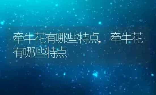 牵牛花有哪些特点,牵牛花有哪些特点 | 养殖科普