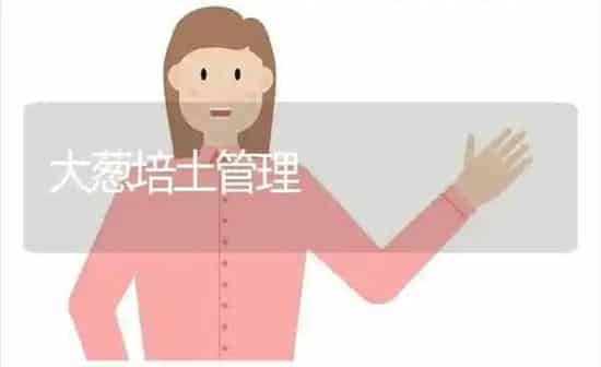 大葱培土管理 | 养殖知识