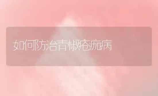 如何防治青椒疮痂病 | 养殖知识