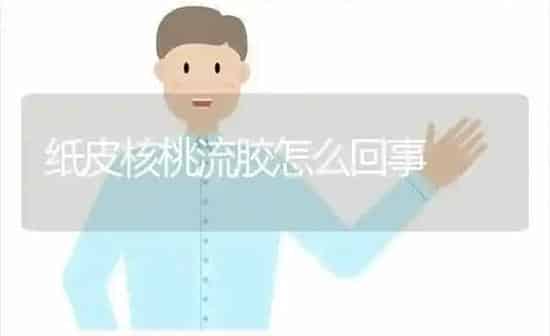 巧选入孵种蛋 | 养殖知识