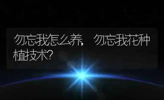 勿忘我怎么养,勿忘我花种植技术？ | 养殖学堂