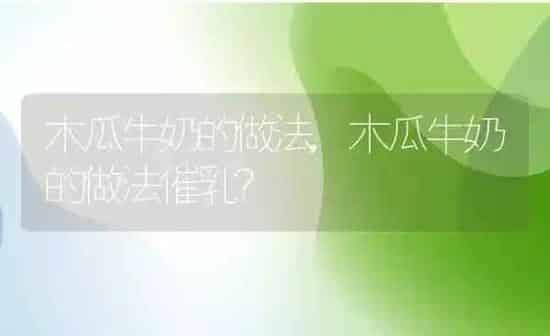 木瓜牛奶的做法,木瓜牛奶的做法催乳？ | 养殖科普