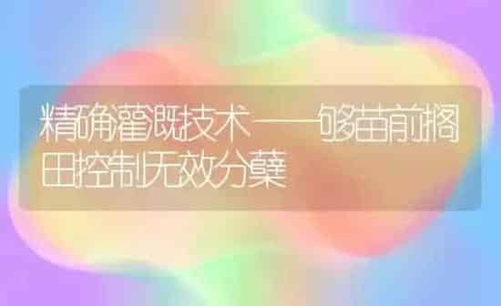 精确灌溉技术——够苗前搁田控制无效分蘖 | 养殖知识