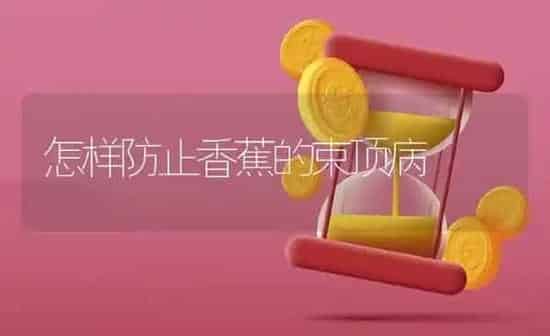 怎样防止香蕉的束顶病 | 养殖知识