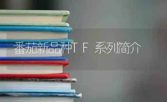 番茄新品种TF系列简介 | 养殖技术大全