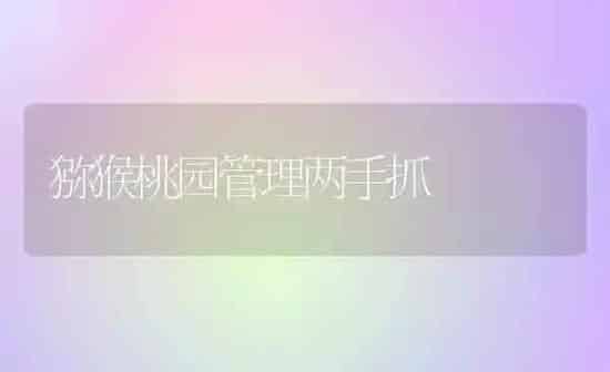 猕猴桃园管理两手抓 | 养殖知识