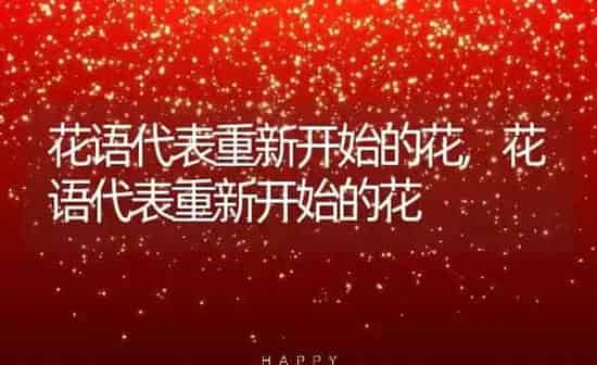 什么狗不拆家,什么狗不拆家干净聪明不掉毛 | 养殖科普