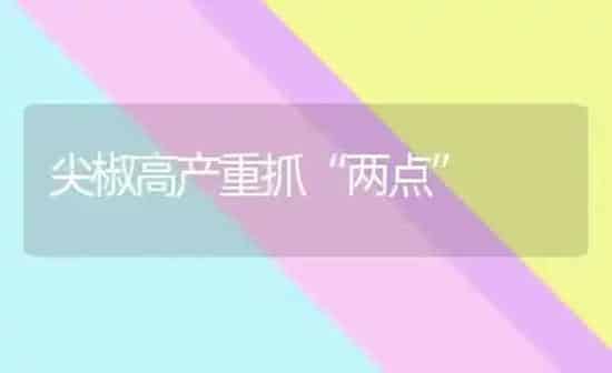 尖椒高产重抓“两点” | 养殖知识