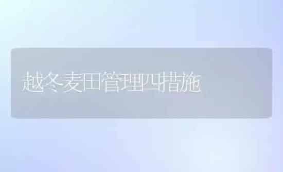 越冬麦田管理四措施 | 养殖知识