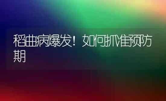 稻曲病爆发！如何抓准预防期 | 养殖技术大全