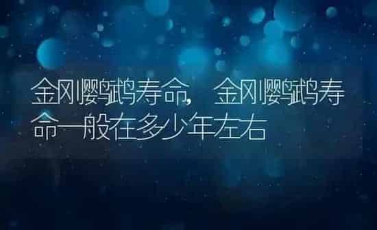 金刚鹦鹉寿命,金刚鹦鹉寿命一般在多少年左右 | 养殖科普