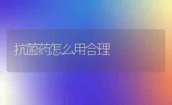 抗菌药怎么用合理 | 养殖知识