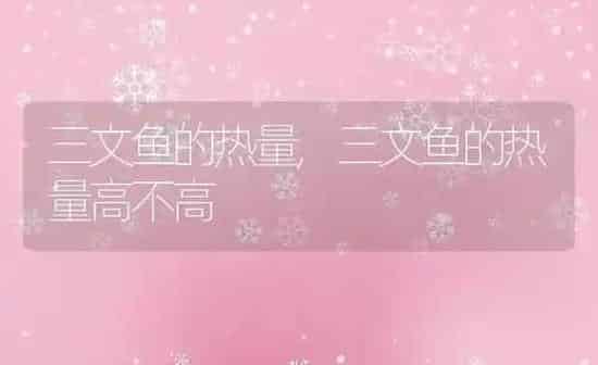 三文鱼的热量,三文鱼的热量高不高 | 养殖科普