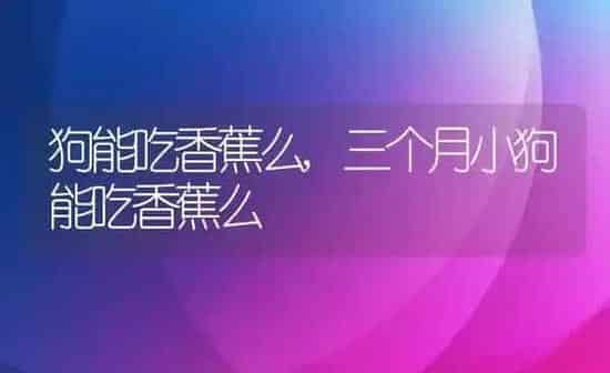 狗能吃香蕉么,三个月小狗能吃香蕉么 | 养殖科普