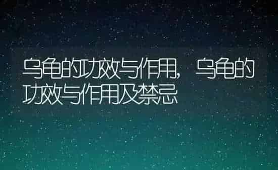 乌龟的功效与作用,乌龟的功效与作用及禁忌 | 养殖科普