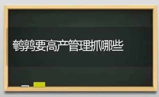 鹌鹑要高产管理抓哪些 | 养殖技术大全