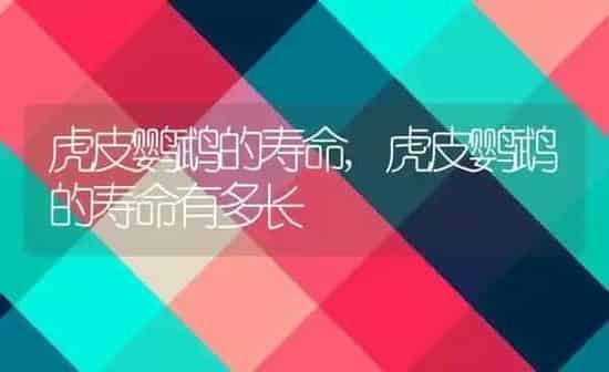 虎皮鹦鹉的寿命,虎皮鹦鹉的寿命有多长 | 养殖科普