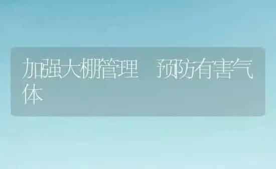 加强大棚管理　预防有害气体 | 养殖知识
