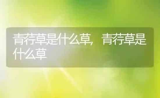青荇草是什么草,青荇草是什么草 | 养殖科普