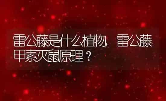 如何滴眼药水,如何滴眼药水视频 | 养殖资料