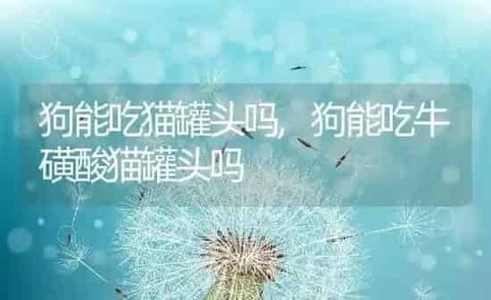 狗能吃猫罐头吗,狗能吃牛磺酸猫罐头吗 | 养殖科普