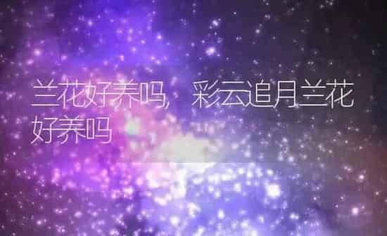 兰花好养吗,彩云追月兰花好养吗 | 养殖学堂