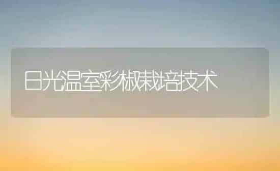 日光温室彩椒栽培技术 | 养殖知识